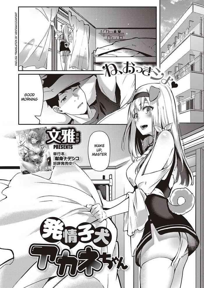 Groping Hatsujou Koinu Akane-chan Ass Lover