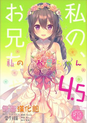 HD Watashi no, Onii-chan 4.5 Bangaihen Blowjob